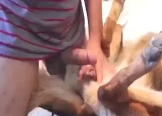 Thick Doggy Style Fuck with a Howling Dog in Hardcore Zoo Sex