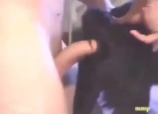 Hot Fingering and Deep Fuck in Zoo Sex Clip