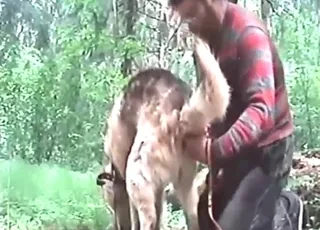 Handy Dog Anal Fingering Pleasure Zoo Sex HD Clips animal sex Porn
