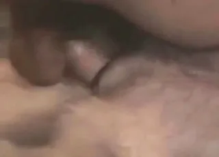 Dirty dog enjoys fast hard dicking in hardcore scene
