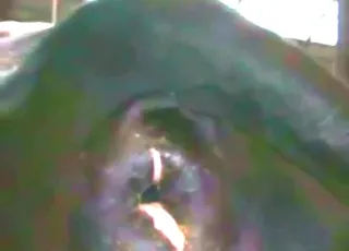 Hot Cow Cunt After Crazy Enema Routine Zoo Sex animal sex HD Clip