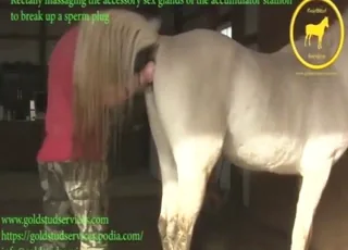Dude Deep Fisting a Large Animal in HD animal sex Zoo Tube