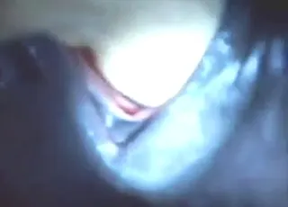 Large Mare Ruination With Moist Vag In Hd