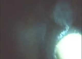 Mare Fisting Close-ups with Real Orgasms