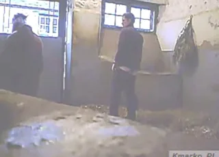 Huge Dick Stallion Fucks Man in Stable Zoo Sex HD
