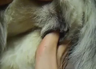 Foot Fetish Zoo Sex: Toe Sliding Deep in Ass