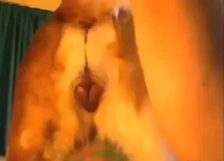 Slutty Dog Screaming While Getting Fucked From Behind – Zoo Sex HD Clip