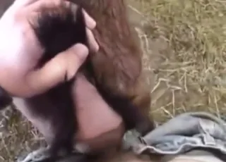 Goat animal sex POV: Gaping HD clip of animal sex with zofilia details