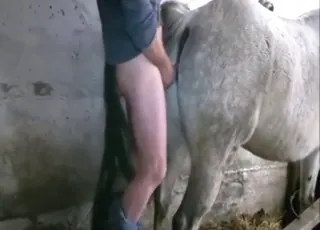 Real mare gets fucked hard by a guy with a deep creampie