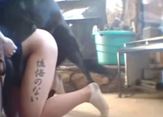 Big round bitch gets deep throated by a dog