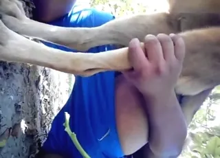 Knotting Round Ass Dude in Blue Shorts with Horse HD Zoo Sex Clip