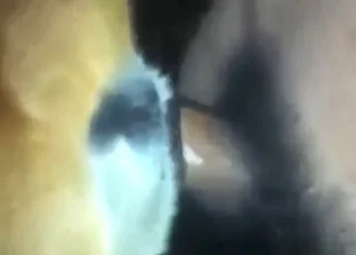 Dude Screams While Fucking Sexy Animal From Behind in HD