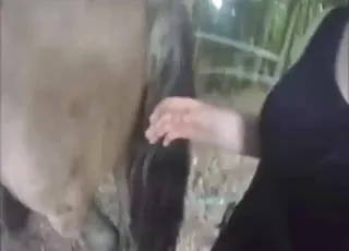 Sexy Stallion Rimming and Orgasm in HD animal sex Zoo Tube HD Clips