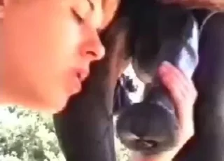Horse Blowjob Cumshot on the Stall HD Zoo Sex animal sex Clip