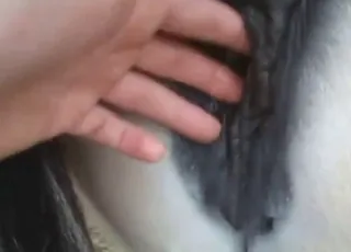 Sexy Mare Fingering Session Moaning Loudly