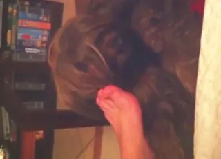 POV Dog Licking Feet Skilled Toe Sucker Zoo Sex HD