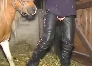 Slutty Lady Takes Two Horses in Zoo Sex Clip