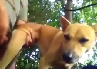 Brown beast gets screwed from behind by a guy