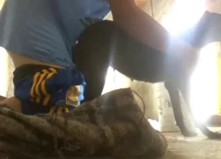 Dark dog takes the whole cock in a tight hole
