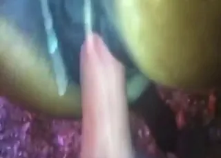 Hot Mare Gets Fucked By Long Cock In Zoo Sex Clip