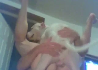 Dog Anal Sex with Legs Hoisted Up HD Zoo Tube animal sex Clip