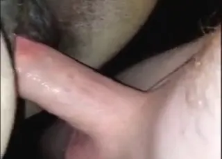 Dude Fucks Big Mare With Long Cock In HD Zoo Tube