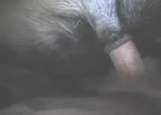 Doggy Style Finger And Fuck With A Hot Puppy