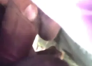 Hot Mare Enjoying Wild Sex in the Heat HD animal sex Tube Zoo Sex Clips