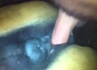 Deep Throat Pony Mare Gets Dicked In HD Zoo Sex Tube animal sex Porn HD Clips