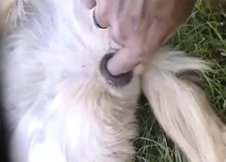 Hardcore Zoo Sex With Free Spirited Beast Fingered