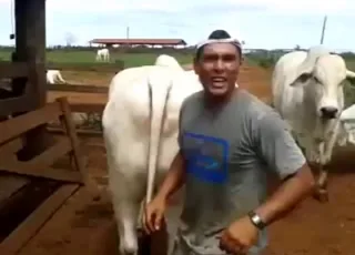 Kinky Dudes Get Busy With a Cow in HD Zoo Sex Clips