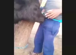 Sexy Farm Calf Gives Nasty Blowjob to Dude