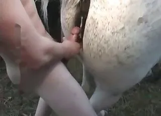 Pasty Dude Fucks White Mare in HD Zoo Sex animal sex HD Clips