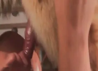 Hot Animal Cumshot Collection: animal sex & Zoo Porn HD Clips
