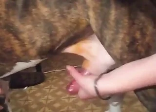 Man jerks doggy dick and gets a massive cumshot