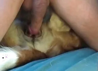 Big Cock Fucks Sexy Mutt in Hot Zoo Sex Scene
