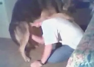 Kinky pooch enjoying a deep blowjob and playful handjob in HD