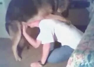 Kinky pooch enjoying a deep blowjob and playful handjob in HD