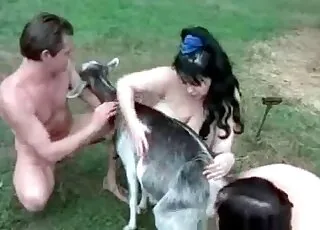 Brutal Farm animal sex Banging HD Clip
