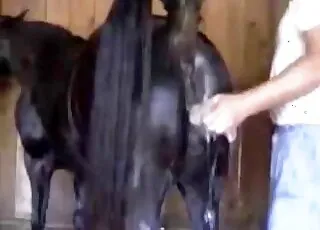 Dirty Farmer Fucks Horse With Big Ass In Barn