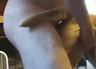 Heavyset guy having sex with his dog on webcam