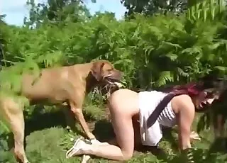 Slender brown animal gets tight cunt fucked hard