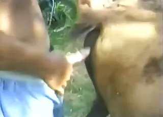 Hardcore Farm Animal Sex Scene: Real Zoo animal sex Porn HD Clip with Livestock
