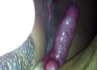 Sensual Angel Gets Filthy Doggy Style Sex With Brutal Dog