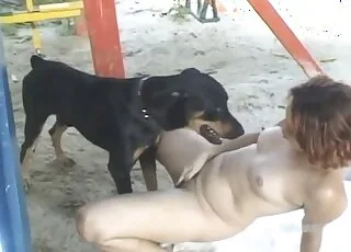 Nice Pooch Gets a Hard Blowjob from a Whore