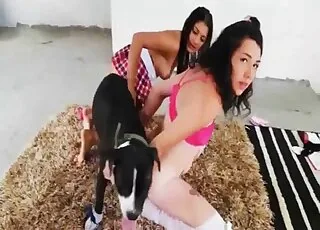 Black Dog Nasty Sex With Hot Lady Zoo Tube HD