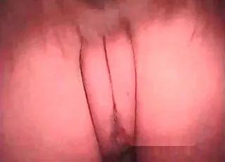 Close-up Passionate Human and Animal Sex HD Clips