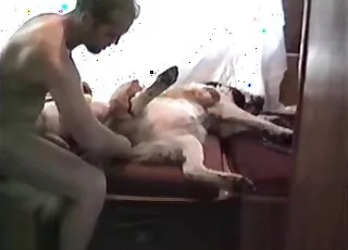Tender Zoo Sex Scene With A Good Looking Dude