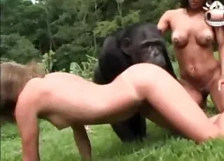 Tanned Bitch Gets Fucked by Monkey on Cam