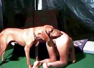 Strutting Sexy Mutt Gets Seduced in Hot Zoo Sex Clip
